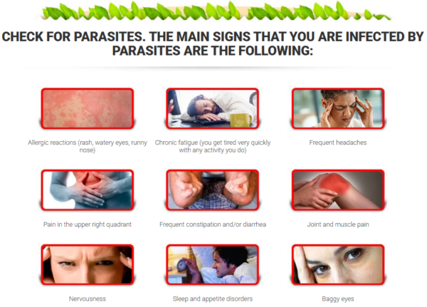 Toxic OFF - PR, US - Image 3