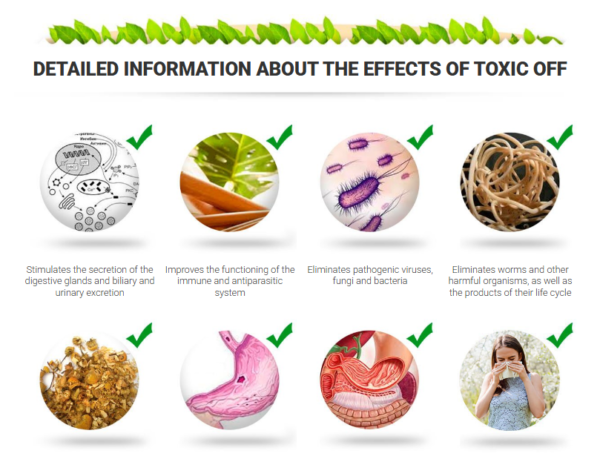 Toxic OFF - PR, US - Image 2