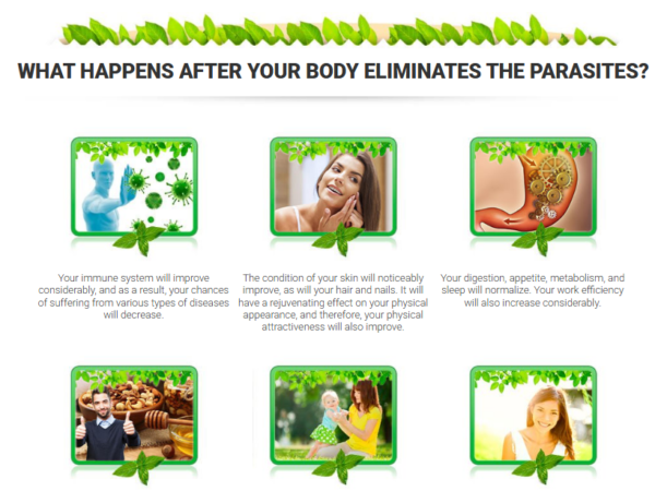 Toxic OFF - PR, US - Image 4